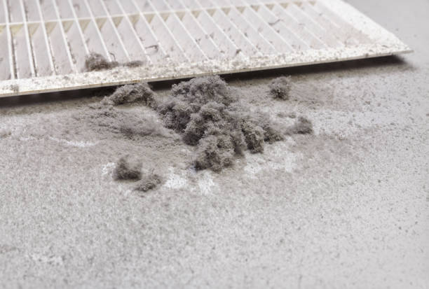 Best Professional Duct Cleaning Services  in Renton, WA