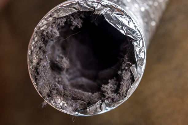 Best Best Air Duct Cleaning Company  in Renton, WA