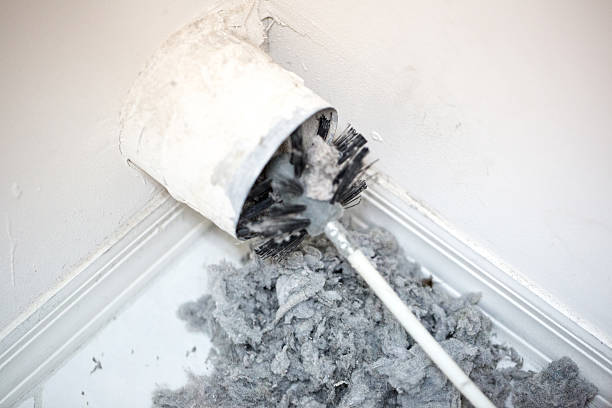 Best Local Air Duct Cleaning Services  in Renton, WA